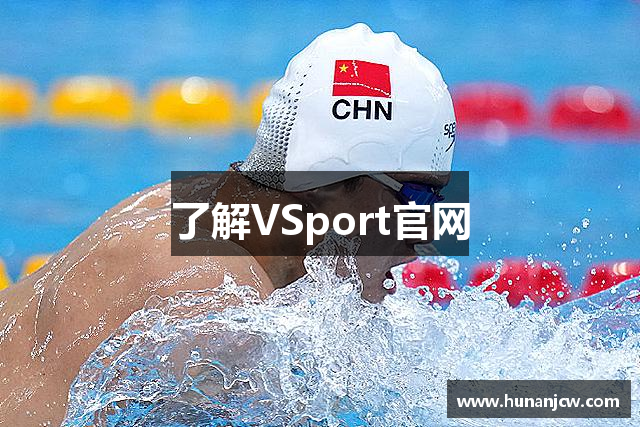 了解VSport官网